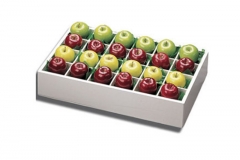 cartont1024