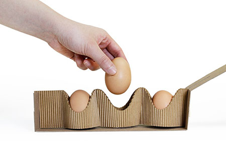 صنعت بسته بندی تخم مرغ و ارائه ایده های جالب از شرکت کارتن تدین
